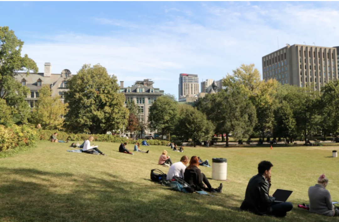 截屏2026-03-04 23.50.29.png