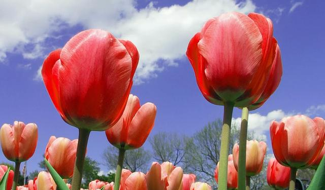 广西中职糕点学校-职业技术学校哪些专业比较好-中职学校报名网