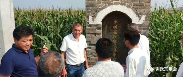 文奎的媳妇_朱文奎_湟源文奎妻子