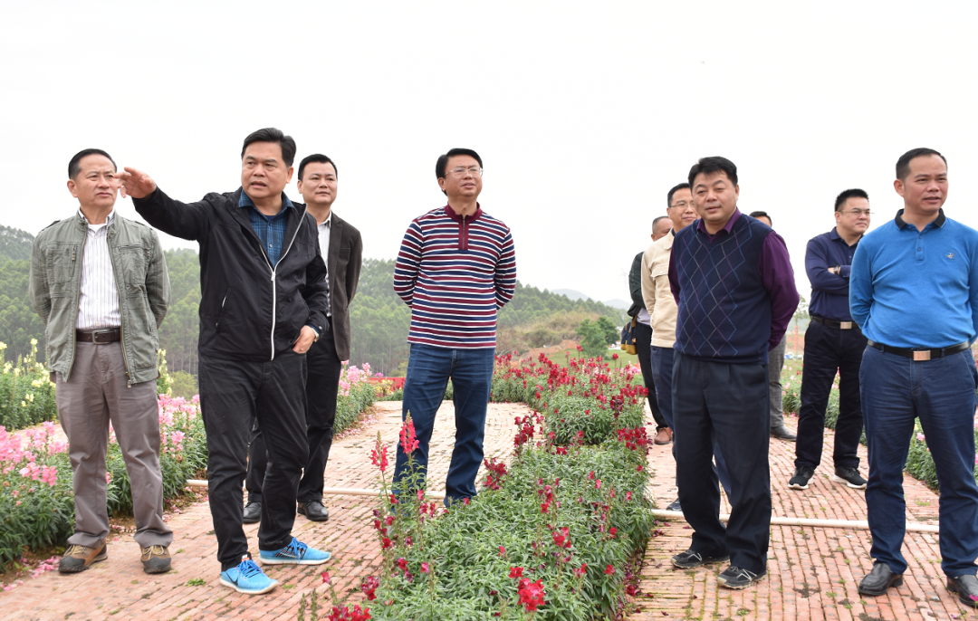 副主任,市旅游发展委员会执行主任梁耀钧率市调研组到怀集县调研旅游