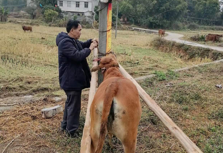 乡村振兴怀集退休妇产科医生牛大夫发挥余热助力乡村振兴