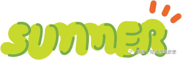 【丰盈科技】团建丨凝聚团队力量，携手共创辉煌