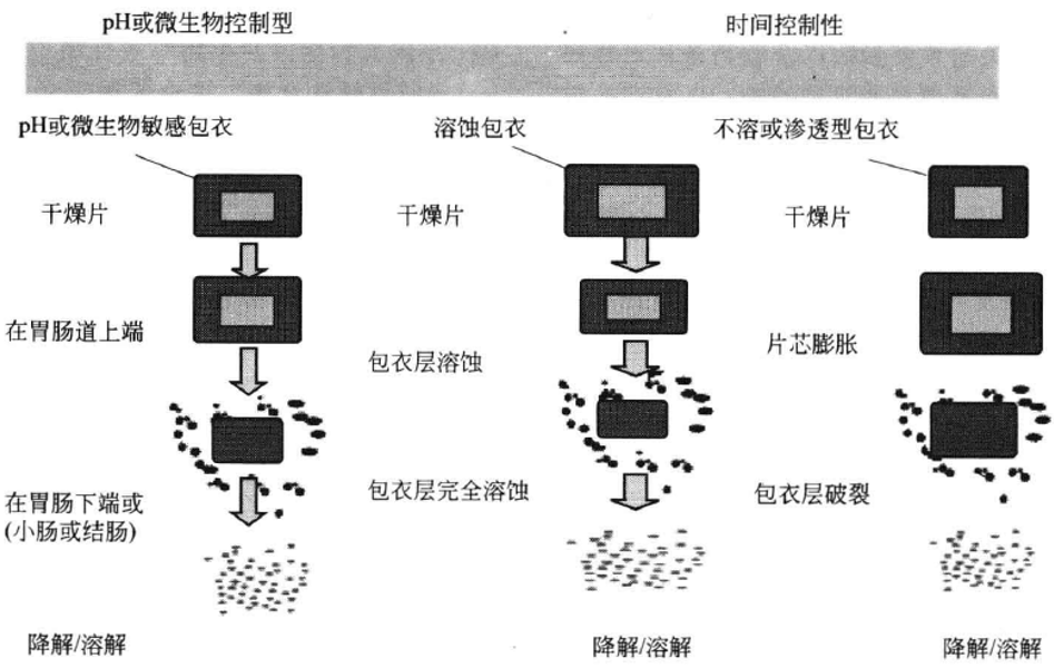 速释 or 缓释？浅析口服药调节释放给药系统设计 - 脉脉