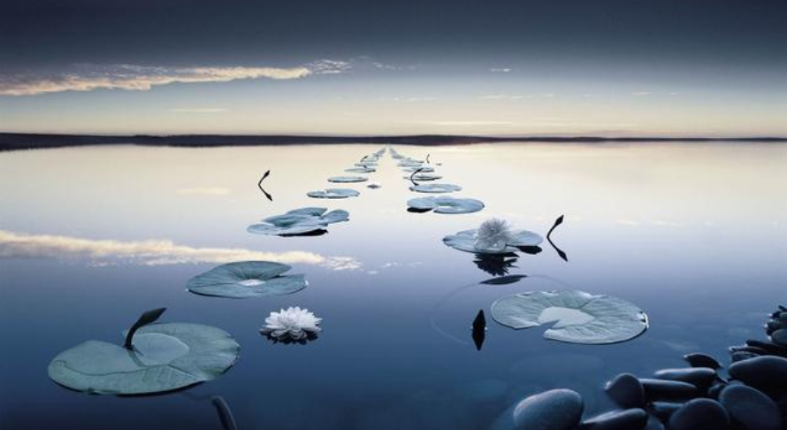 科技事业组织工作赌气，看一看你联系方式里呢有那些位数(图2)