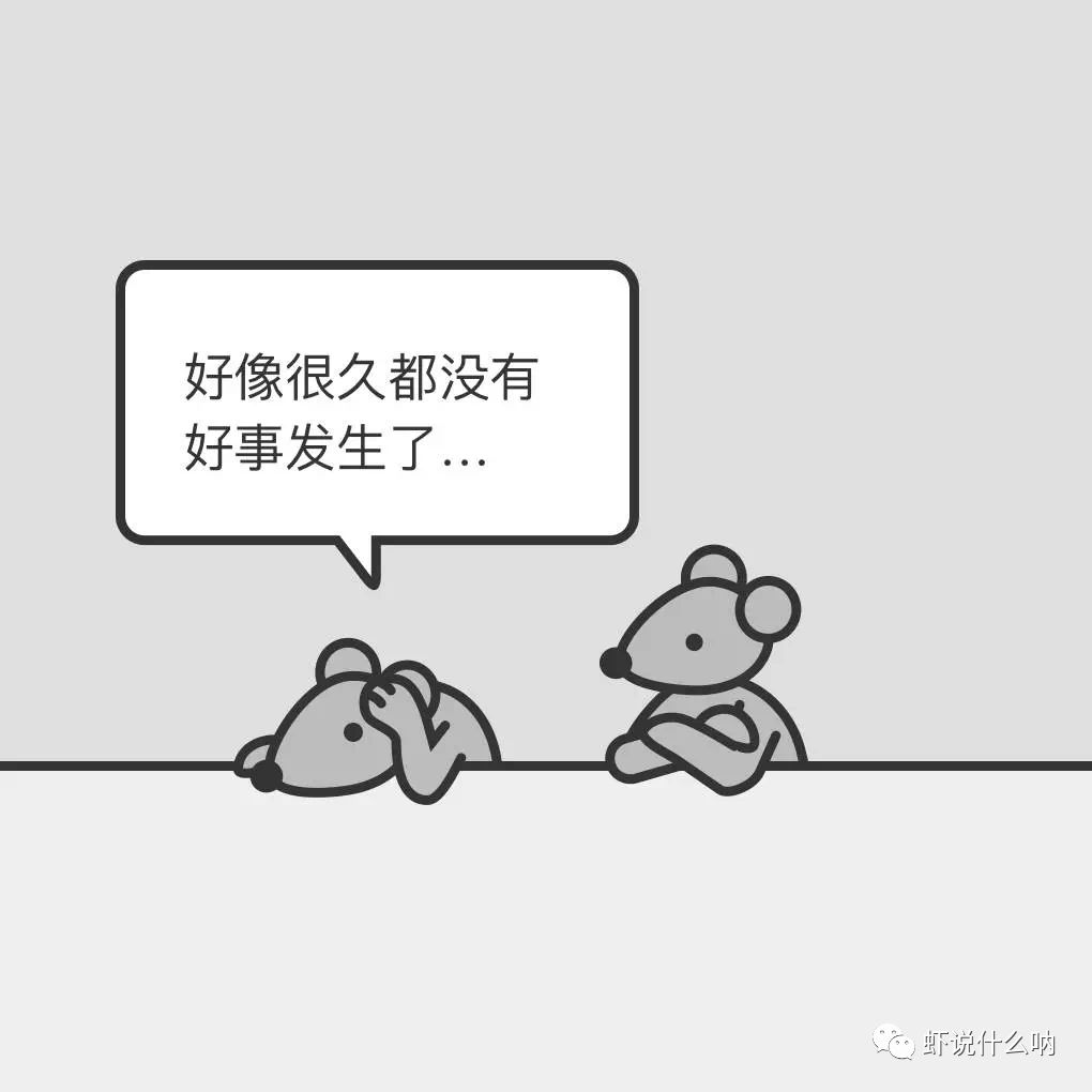 我在号称美国最快乐的常春藤大学读书，每天早晚要吃抗抑郁药（组图） - 5