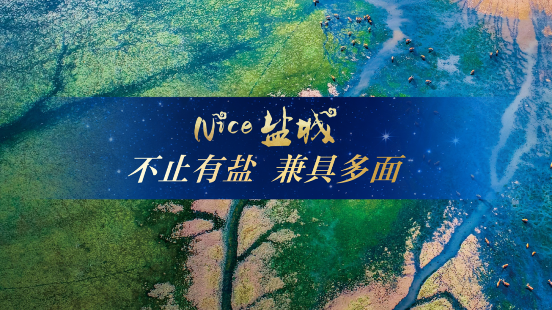 Discover盐城 共创短剧新浪潮（11.7）_02.png