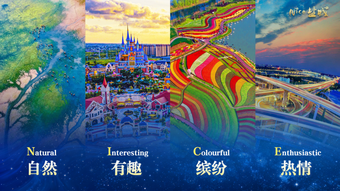 Discover盐城 共创短剧新浪潮（11.7）_05.png