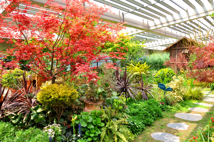 千万产值的庭院市场大门徐开，庭院人，你该如何把握？