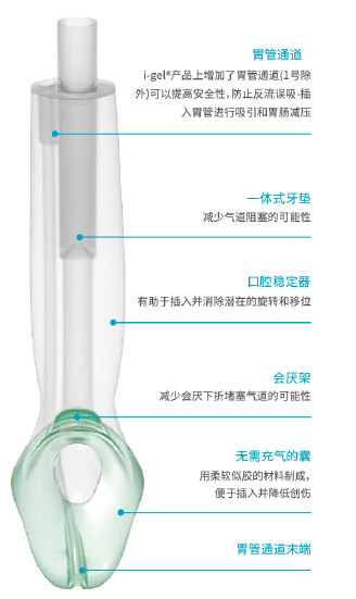 为什么要用喉罩i-gel喉罩的临床应用之无痛纤支镜诊疗_https://www.jmylbn.com_新闻资讯_第22张