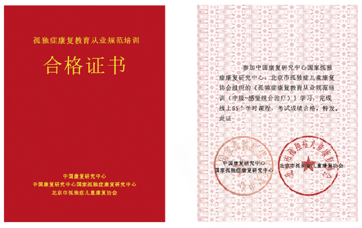什么是ot训练作业治疗（OT）=感统治疗？与执行功能训练又有什么联系？｜ 浅谈三者的关系_https://www.jmylbn.com_新闻资讯_第1张