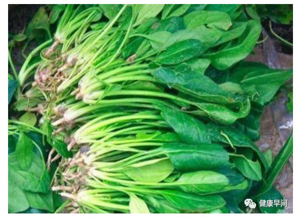 高血壓食療偏方，原來降壓神藥竟是它們 健康 第1張