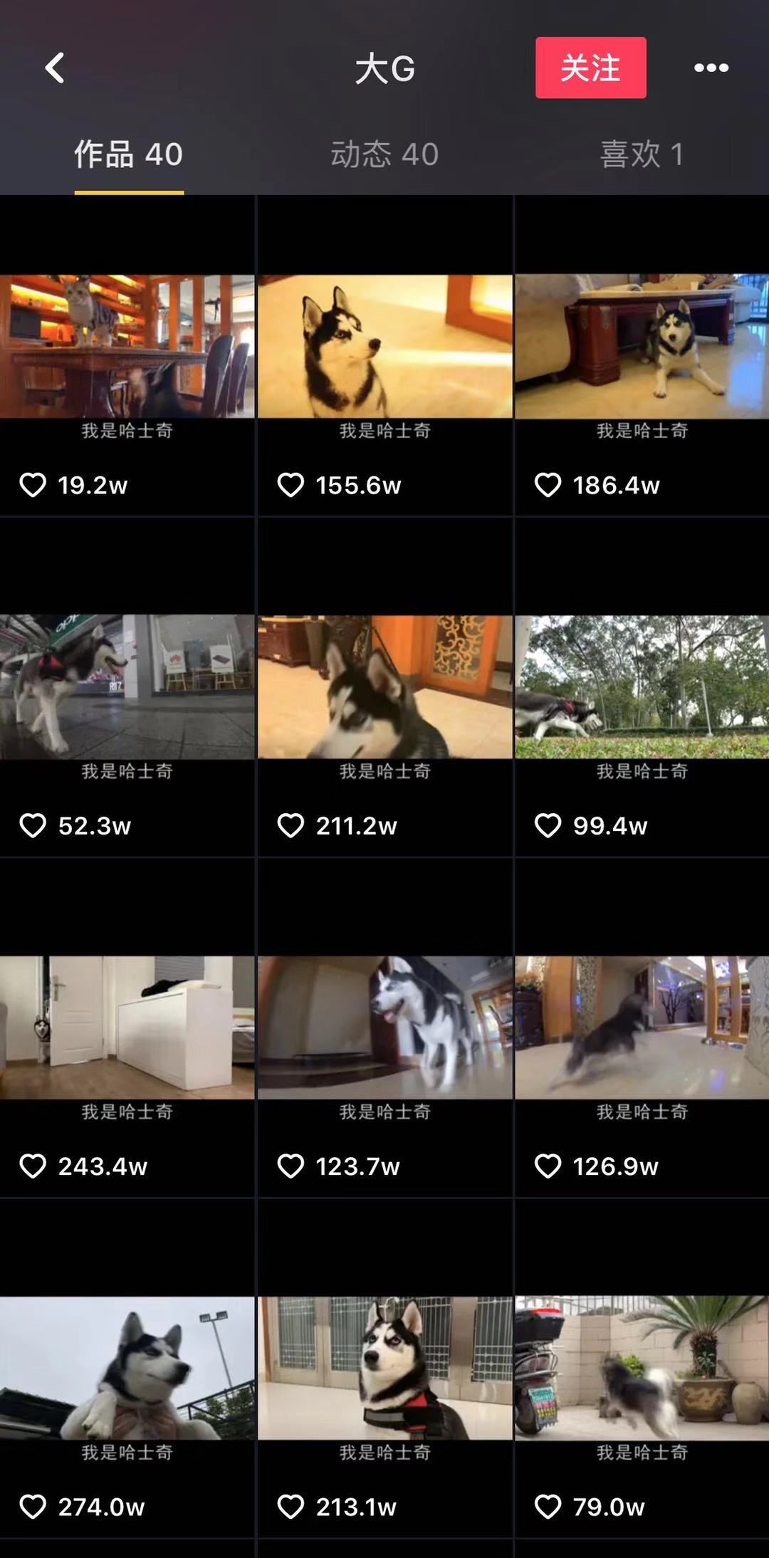 抖音英文歌曲红网2018版_网红歌曲2018抖音英文_网红歌曲英文2019抖音