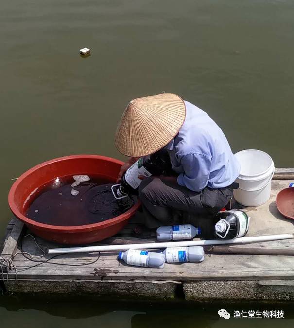 【为它点赞】渔仁堂邀您一起寻找幸福水产人,第二期