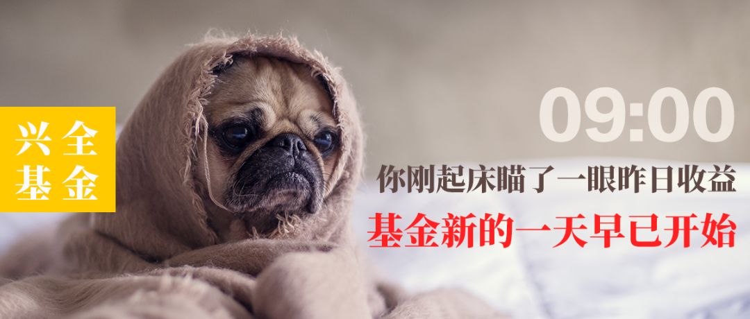 行业洞察：揭秘一只基金背后的24小时