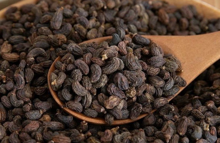 产新又跌！女贞子还有翻身上涨的机会吗？