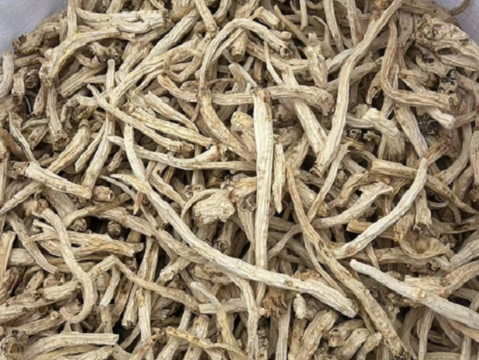 这两大热门药材触底反弹！2026还能种吗？