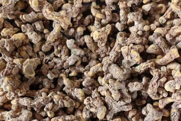 射干这波上涨能持续多久？