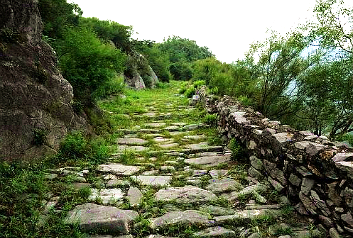 宛洛古道西线(图片来自网络)鲁阳关楼石刻门匾上刻有"古鸦路"三个大字
