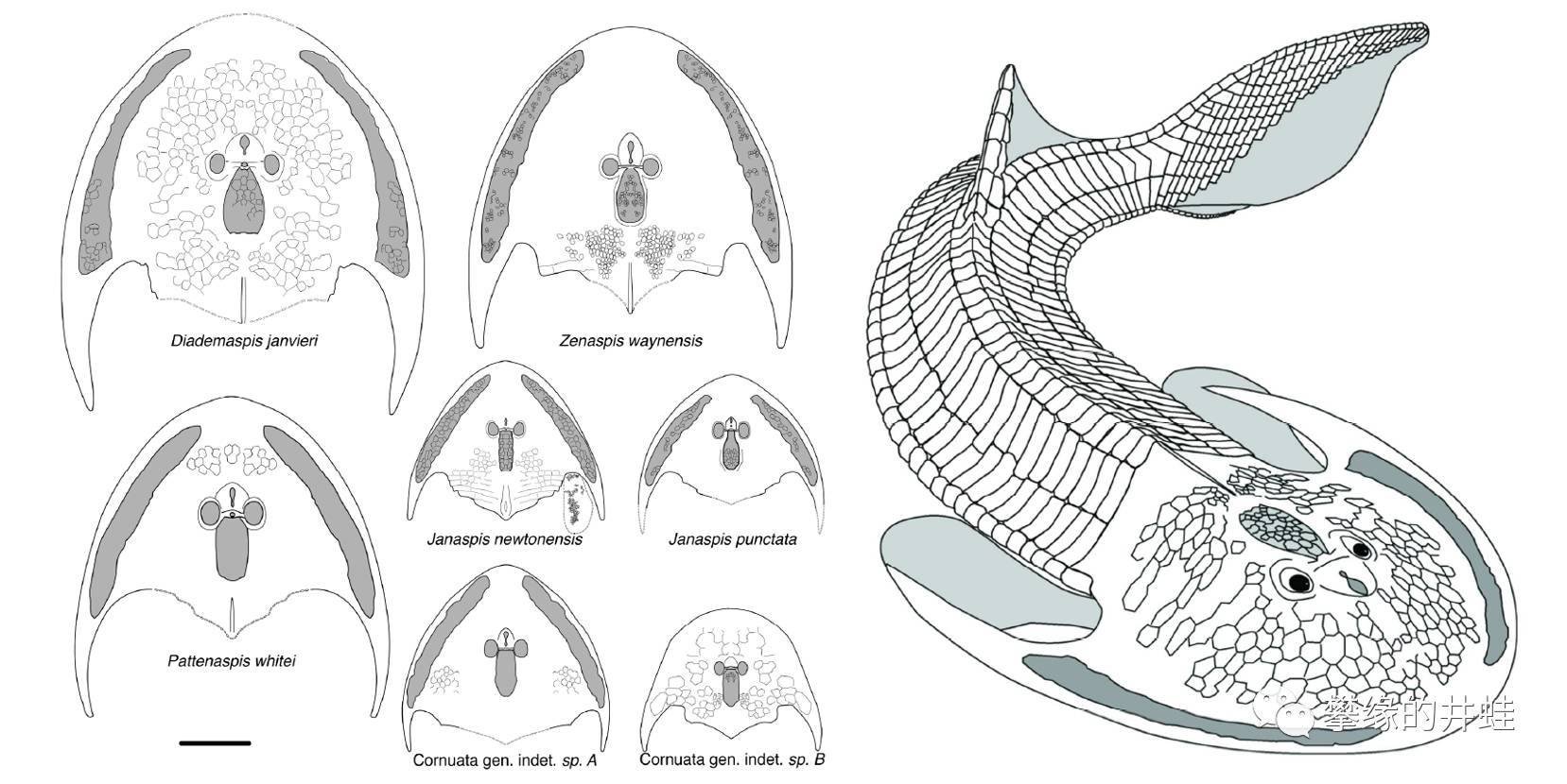 地球演义 第一百四十七回masked Ball 攀缘的井蛙 微信公众号文章阅读 Wemp