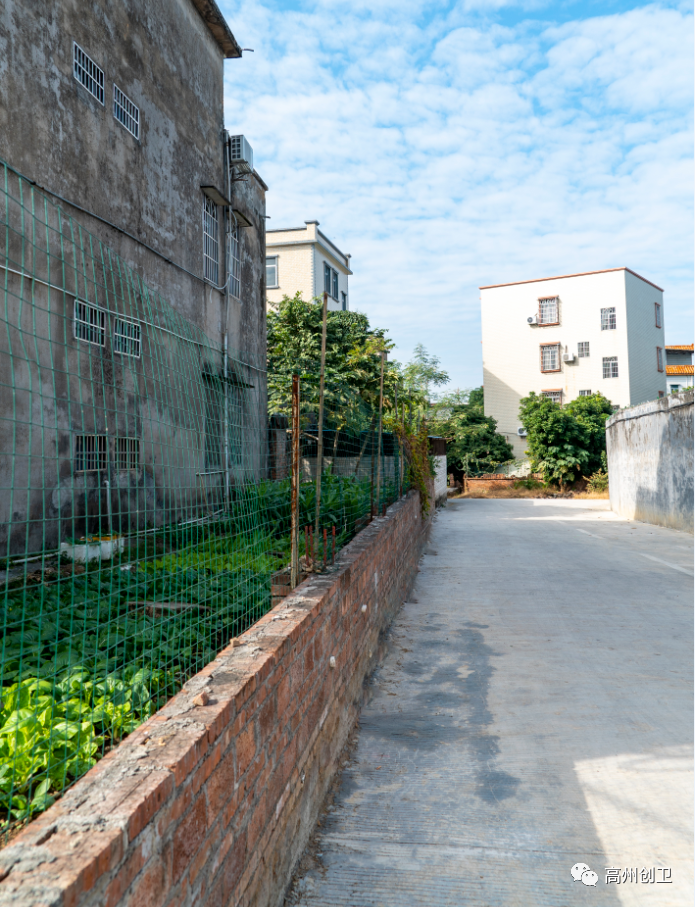 北江村:卫生面貌实现质的飞跃