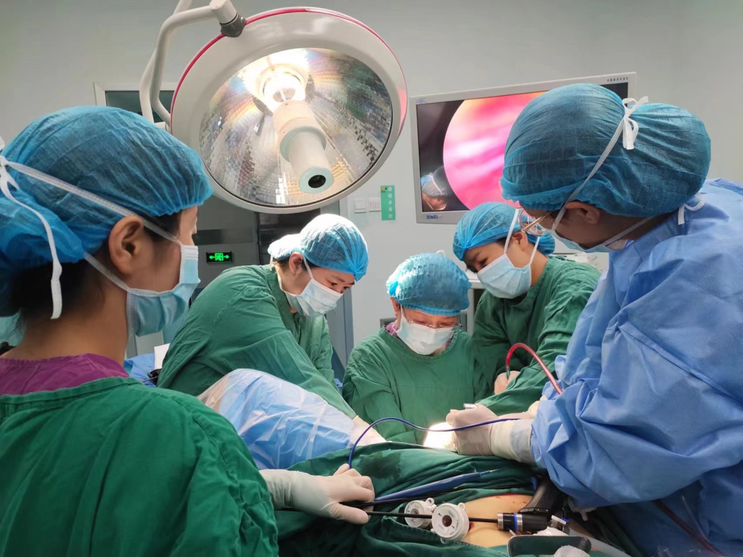 尿道张力过强怎么办【医学科普】经阴道闭孔无张力尿道悬吊术（TVT-O）_https://www.jmylbn.com_新闻资讯_第8张