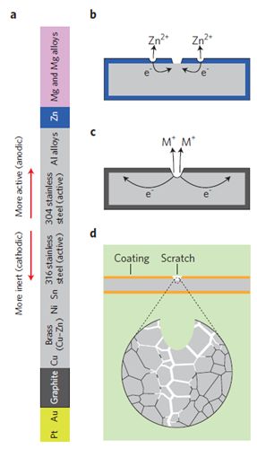 电偶腐蚀 电偶腐蚀 宁波材料所在抑制石墨烯腐蚀促进行为方面取得进展