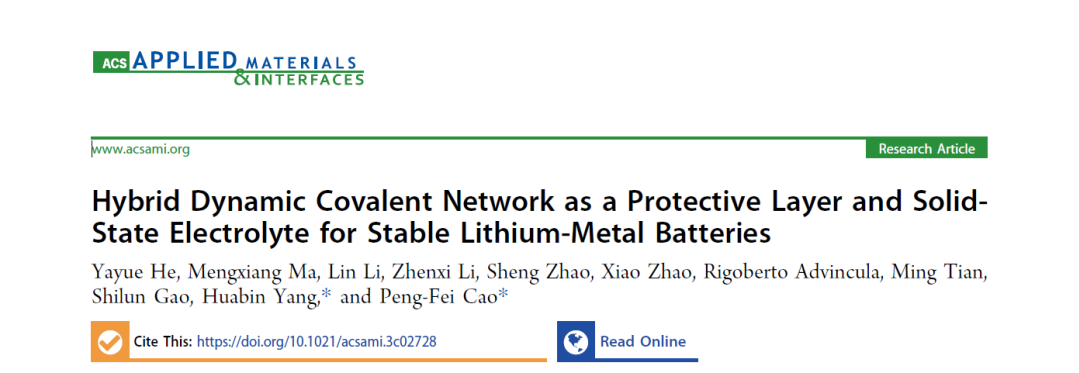 杂化动态共价网络用作锂金属电池保护层和固态电解质的图2