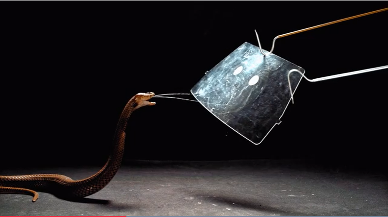 化学2021：研究趋势、年度分子、年度数字、古怪的发现、明年研究趋势预测 第27张