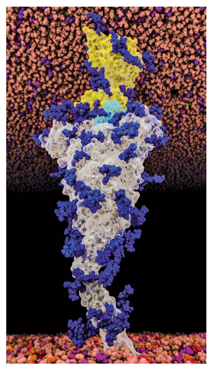 化学2021：研究趋势、年度分子、年度数字、古怪的发现、明年研究趋势预测 第12张