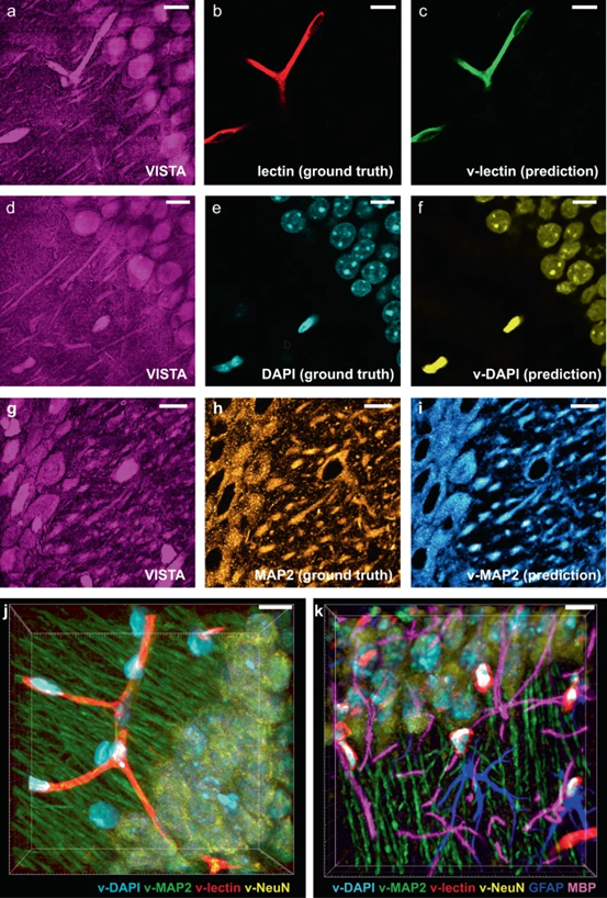 化学2021：研究趋势、年度分子、年度数字、古怪的发现、明年研究趋势预测 第21张