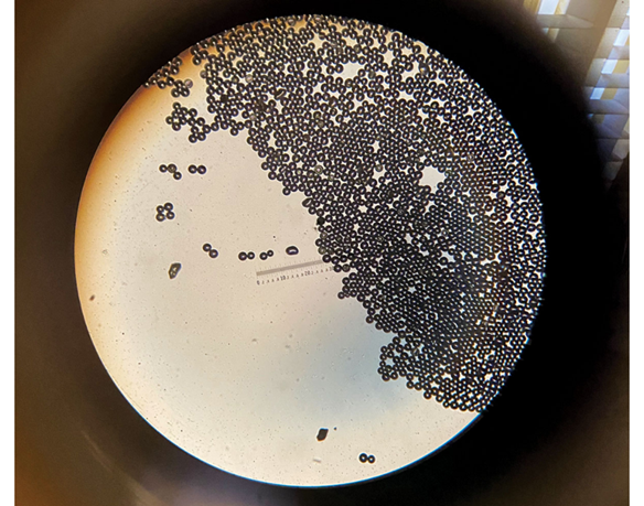 化学2021：研究趋势、年度分子、年度数字、古怪的发现、明年研究趋势预测 第30张