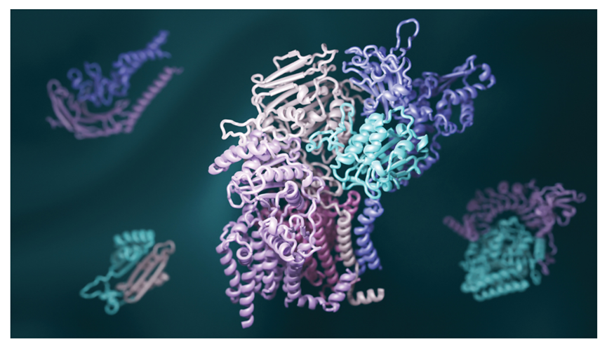 化学2021：研究趋势、年度分子、年度数字、古怪的发现、明年研究趋势预测 第8张