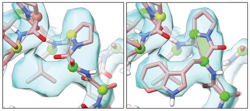 化学2021：研究趋势、年度分子、年度数字、古怪的发现、明年研究趋势预测 第11张