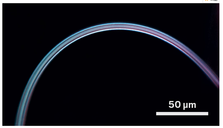 化学2021：研究趋势、年度分子、年度数字、古怪的发现、明年研究趋势预测 第29张
