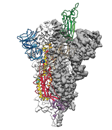 化学2021：研究趋势、年度分子、年度数字、古怪的发现、明年研究趋势预测 第26张