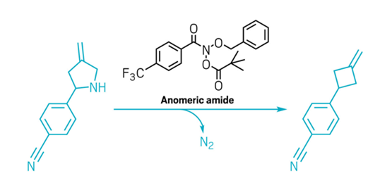化学2021：研究趋势、年度分子、年度数字、古怪的发现、明年研究趋势预测 第5张