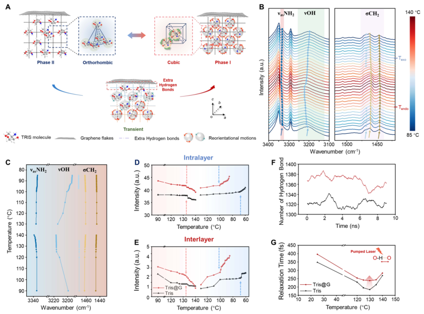 泽攸科技原位TEM | 0.5%石墨烯使塑性晶体的过冷度降低了38.8°C