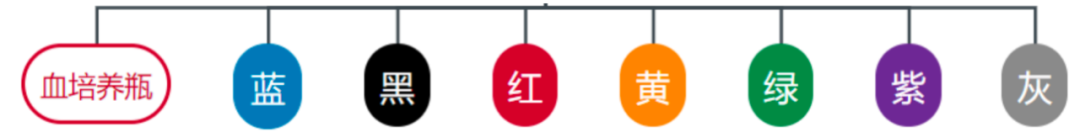 采血管分别采什么血关于静脉采血相关干货知识分享_https://www.jmylbn.com_新闻资讯_第4张