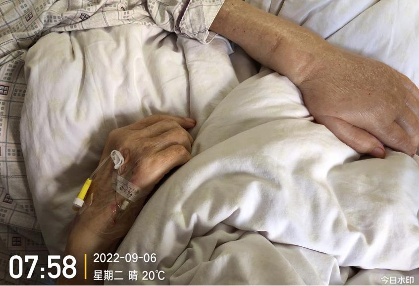 留置针怎么单手推针留置针 5 大穿刺技巧，看过的护士都收藏了！_https://www.jmylbn.com_新闻资讯_第5张