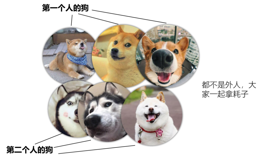 科学大院 自由微信 Freewechat