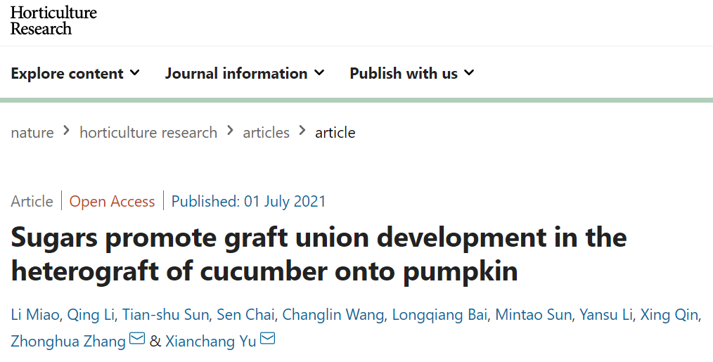 Hortic Res 糖促进黄瓜 南瓜嫁接接口愈合的分子机制 园艺研究 微信公众号文章 微小领