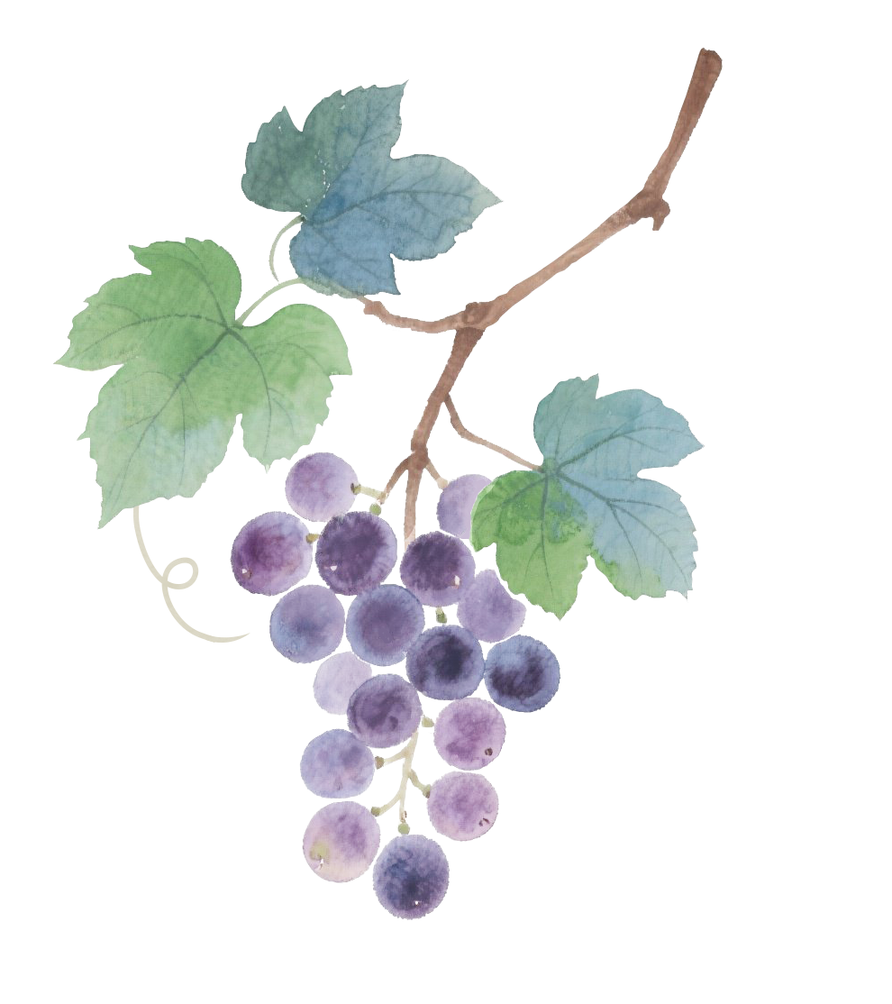 医疗器械怎么样医疗器械：种类、选购与使用全解析_https://www.jmylbn.com_新闻资讯_第2张