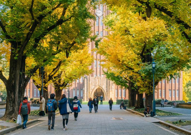 早稻田大学排名_有稻田的大学_早稻田大学排行榜