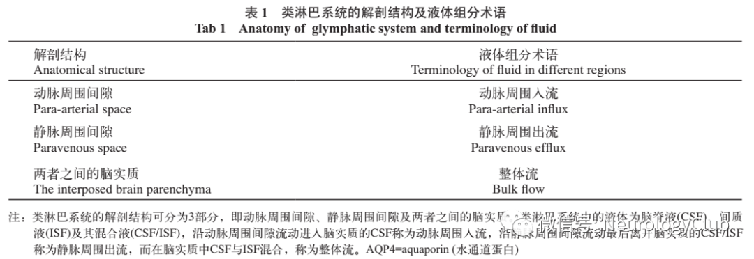 小鼠脉搏怎么测量神经综述：类淋巴系统与中枢神经系统病变的相关性研究进展_https://www.jmylbn.com_新闻资讯_第3张