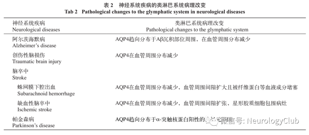 小鼠脉搏怎么测量神经综述：类淋巴系统与中枢神经系统病变的相关性研究进展_https://www.jmylbn.com_新闻资讯_第4张