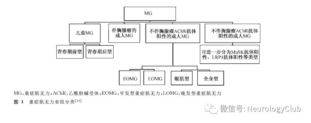 重症肌無力亞組分類的新建議