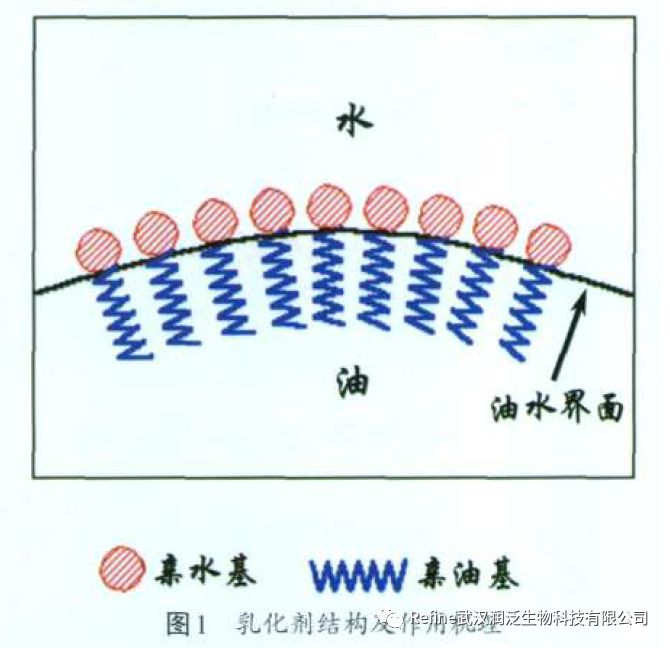 乳化剂的作用机理及在饲料工业中的应用研究进展 武汉润泛生物科技有限公司 动物饲养效果研究 抗氧化应激专家 耐药致病菌克星