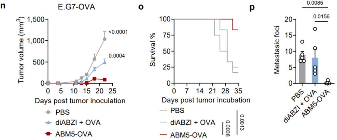邁安納客戶發表Nature正刊：突破“最后一公里”! 腫瘤疫苗迎來革命性佐劑