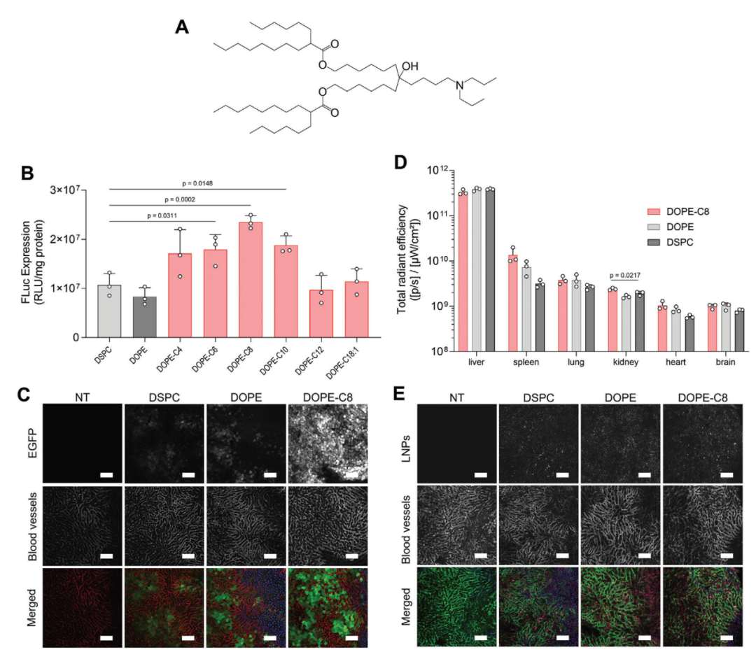 脂質(zhì)輔料新研究-新型輔助磷脂（DOPE-X）顯著提高mRNA-LNP的體內(nèi)遞送