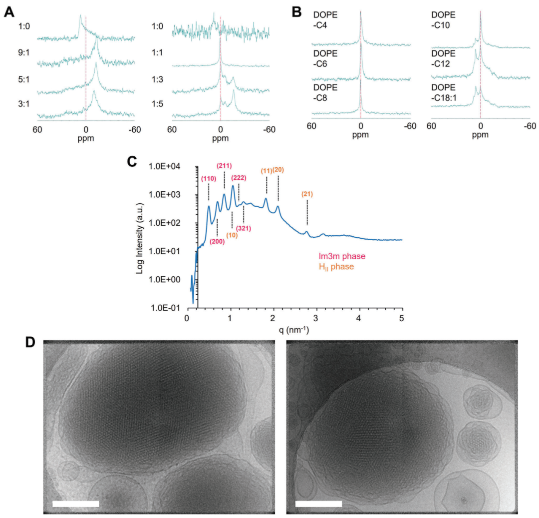 脂質(zhì)輔料新研究-新型輔助磷脂（DOPE-X）顯著提高mRNA-LNP的體內(nèi)遞送